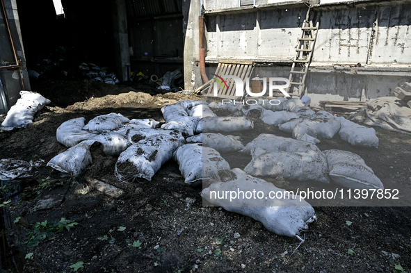 Sacks are being scattered on the premises of a hangar with agricultural products damaged by the July 8 Russian missile attack in Vilniansk,...