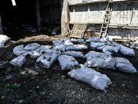 Sacks are being scattered on the premises of a hangar with agricultural products damaged by the July 8 Russian missile attack in Vilniansk,...