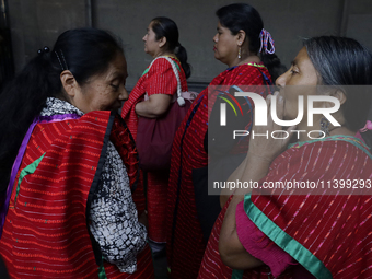 A group of women from the Triquie indigenous community is walking in the streets of Mexico City. (