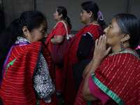 A group of women from the Triquie indigenous community is walking in the streets of Mexico City. (