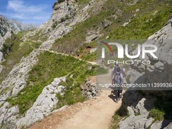 The Cares Trail (Ruta del Cares) in Asturias, Spain, on July 11, 2024, is one of the most popular trekking paths within the Picos de Europa....