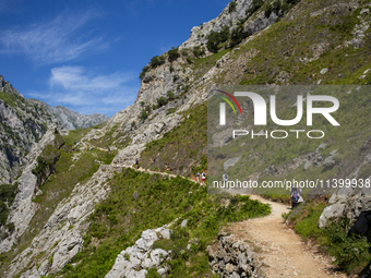 The Cares Trail (Ruta del Cares) in Asturias, Spain, on July 11, 2024, is one of the most popular trekking paths within the Picos de Europa....