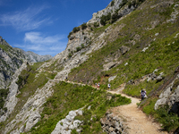 The Cares Trail (Ruta del Cares) in Asturias, Spain, on July 11, 2024, is one of the most popular trekking paths within the Picos de Europa....