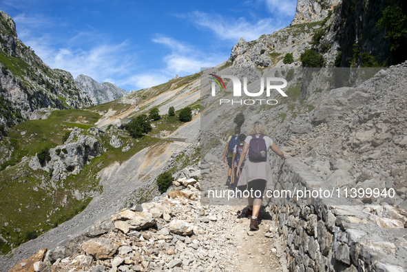 The Cares Trail (Ruta del Cares) in Asturias, Spain, on July 11, 2024, is one of the most popular trekking paths within the Picos de Europa....