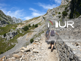 The Cares Trail (Ruta del Cares) in Asturias, Spain, on July 11, 2024, is one of the most popular trekking paths within the Picos de Europa....