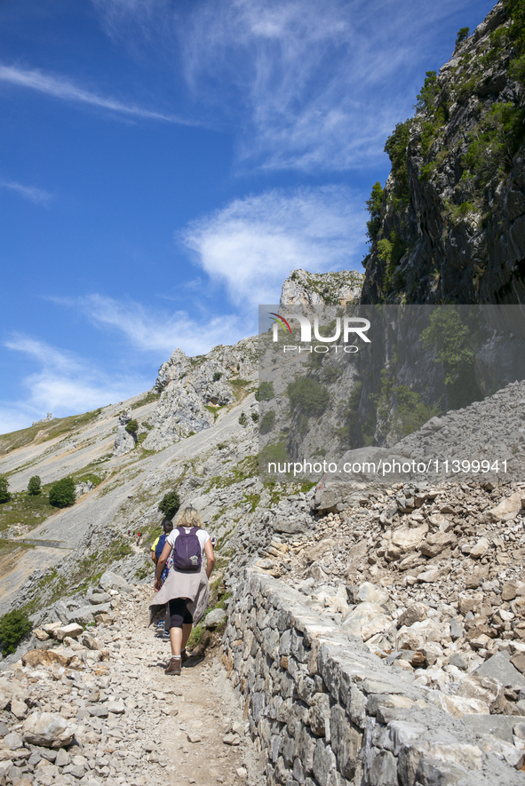 The Cares Trail (Ruta del Cares) in Asturias, Spain, on July 11, 2024, is one of the most popular trekking paths within the Picos de Europa....