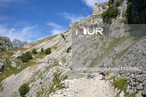 The Cares Trail (Ruta del Cares) in Asturias, Spain, on July 11, 2024, is one of the most popular trekking paths within the Picos de Europa....