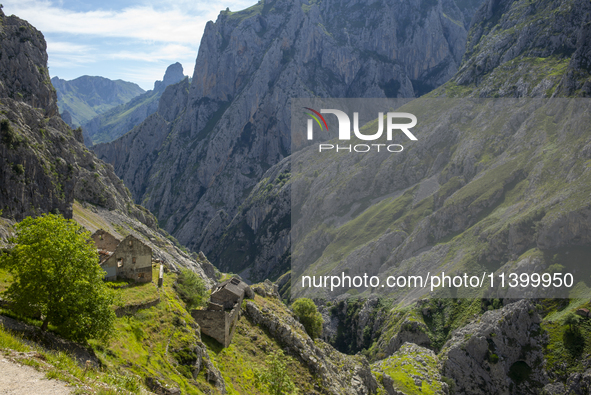 The Cares Trail (Ruta del Cares) in Asturias, Spain, on July 11, 2024, is one of the most popular trekking paths within the Picos de Europa....