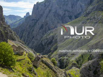 The Cares Trail (Ruta del Cares) in Asturias, Spain, on July 11, 2024, is one of the most popular trekking paths within the Picos de Europa....