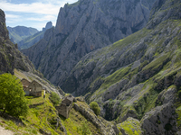 The Cares Trail (Ruta del Cares) in Asturias, Spain, on July 11, 2024, is one of the most popular trekking paths within the Picos de Europa....