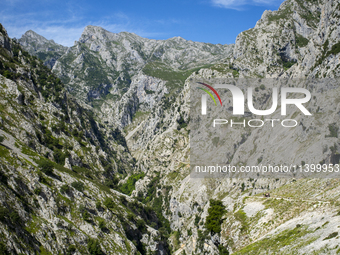 The Cares Trail (Ruta del Cares) in Asturias, Spain, on July 11, 2024, is one of the most popular trekking paths within the Picos de Europa....