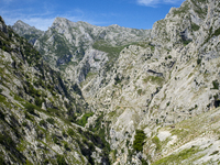 The Cares Trail (Ruta del Cares) in Asturias, Spain, on July 11, 2024, is one of the most popular trekking paths within the Picos de Europa....