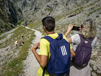 The Cares Trail (Ruta del Cares) in Asturias, Spain, on July 11, 2024, is one of the most popular trekking paths within the Picos de Europa....