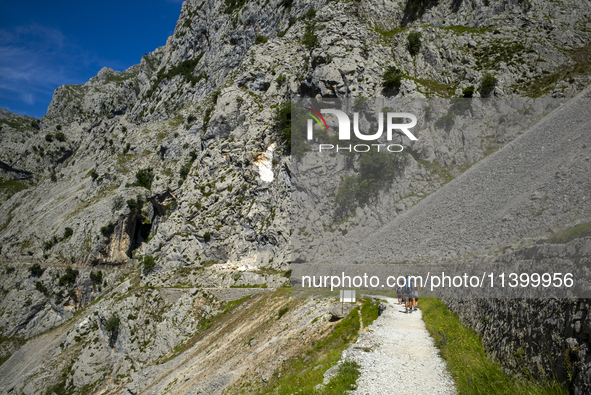 The Cares Trail (Ruta del Cares) in Asturias, Spain, on July 11, 2024, is one of the most popular trekking paths within the Picos de Europa....