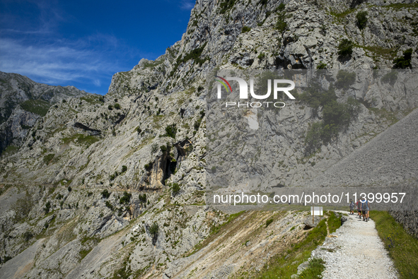 The Cares Trail (Ruta del Cares) in Asturias, Spain, on July 11, 2024, is one of the most popular trekking paths within the Picos de Europa....