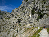 The Cares Trail (Ruta del Cares) in Asturias, Spain, on July 11, 2024, is one of the most popular trekking paths within the Picos de Europa....