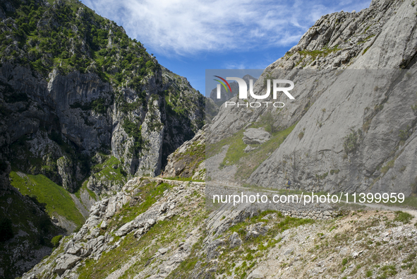 The Cares Trail (Ruta del Cares) in Asturias, Spain, on July 11, 2024, is one of the most popular trekking paths within the Picos de Europa....