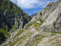 The Cares Trail (Ruta del Cares) in Asturias, Spain, on July 11, 2024, is one of the most popular trekking paths within the Picos de Europa....