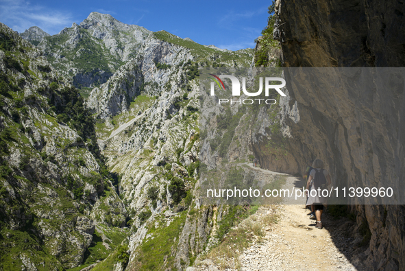 The Cares Trail (Ruta del Cares) in Asturias, Spain, on July 11, 2024, is one of the most popular trekking paths within the Picos de Europa....