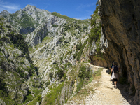 The Cares Trail (Ruta del Cares) in Asturias, Spain, on July 11, 2024, is one of the most popular trekking paths within the Picos de Europa....