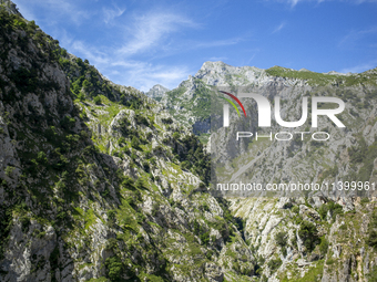 The Cares Trail (Ruta del Cares) in Asturias, Spain, on July 11, 2024, is one of the most popular trekking paths within the Picos de Europa....