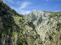 The Cares Trail (Ruta del Cares) in Asturias, Spain, on July 11, 2024, is one of the most popular trekking paths within the Picos de Europa....