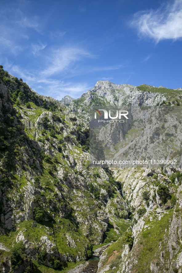 The Cares Trail (Ruta del Cares) in Asturias, Spain, on July 11, 2024, is one of the most popular trekking paths within the Picos de Europa....