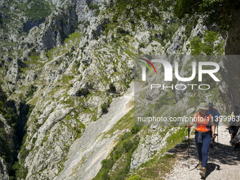 The Cares Trail (Ruta del Cares) in Asturias, Spain, on July 11, 2024, is one of the most popular trekking paths within the Picos de Europa....