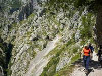 The Cares Trail (Ruta del Cares) in Asturias, Spain, on July 11, 2024, is one of the most popular trekking paths within the Picos de Europa....