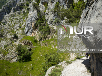 The Cares Trail (Ruta del Cares) in Asturias, Spain, on July 11, 2024, is one of the most popular trekking paths within the Picos de Europa....