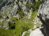 The Cares Trail (Ruta del Cares) in Asturias, Spain, on July 11, 2024, is one of the most popular trekking paths within the Picos de Europa....