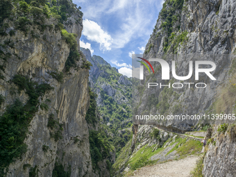 The Cares Trail (Ruta del Cares) in Asturias, Spain, on July 11, 2024, is one of the most popular trekking paths within the Picos de Europa....