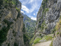 The Cares Trail (Ruta del Cares) in Asturias, Spain, on July 11, 2024, is one of the most popular trekking paths within the Picos de Europa....