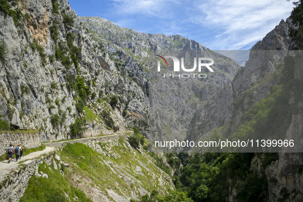 The Cares Trail (Ruta del Cares) in Asturias, Spain, on July 11, 2024, is one of the most popular trekking paths within the Picos de Europa....