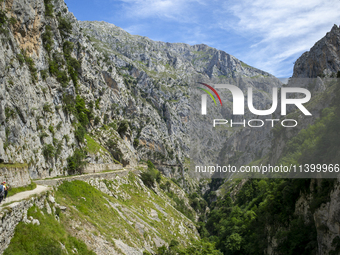 The Cares Trail (Ruta del Cares) in Asturias, Spain, on July 11, 2024, is one of the most popular trekking paths within the Picos de Europa....