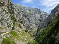 The Cares Trail (Ruta del Cares) in Asturias, Spain, on July 11, 2024, is one of the most popular trekking paths within the Picos de Europa....