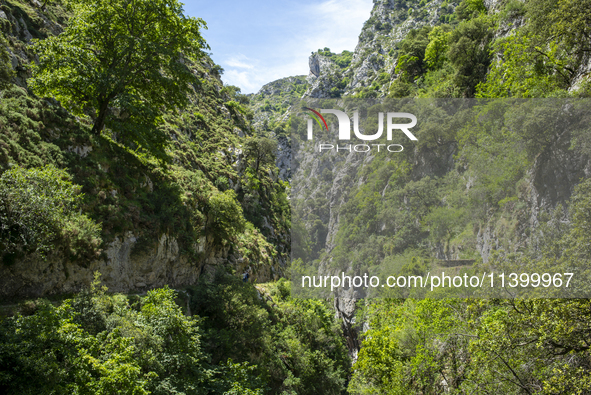 The Cares Trail (Ruta del Cares) in Asturias, Spain, on July 11, 2024, is one of the most popular trekking paths within the Picos de Europa....