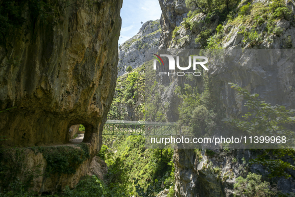 The Cares Trail (Ruta del Cares) in Asturias, Spain, on July 11, 2024, is one of the most popular trekking paths within the Picos de Europa....