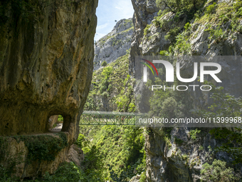 The Cares Trail (Ruta del Cares) in Asturias, Spain, on July 11, 2024, is one of the most popular trekking paths within the Picos de Europa....