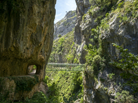 The Cares Trail (Ruta del Cares) in Asturias, Spain, on July 11, 2024, is one of the most popular trekking paths within the Picos de Europa....