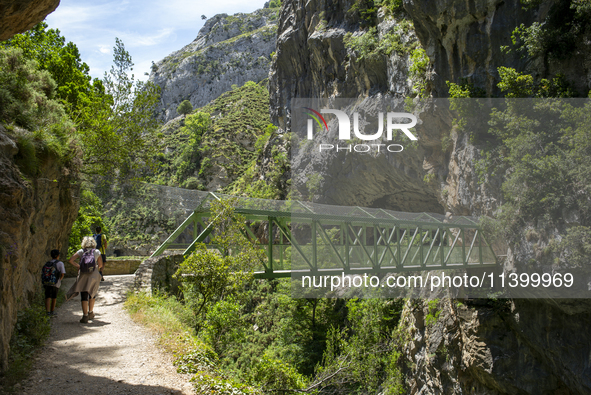 The Cares Trail (Ruta del Cares) in Asturias, Spain, on July 11, 2024, is one of the most popular trekking paths within the Picos de Europa....