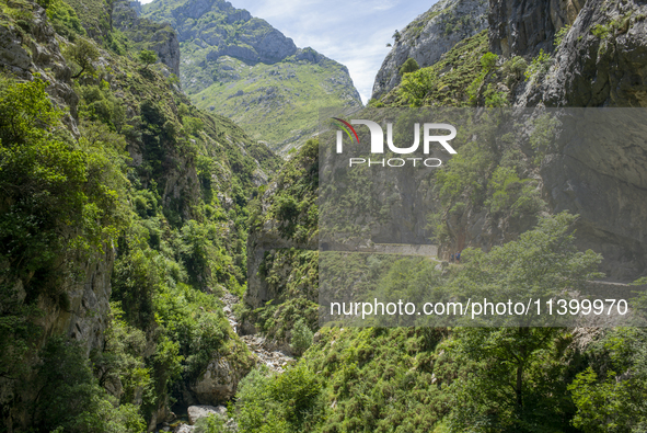 The Cares Trail (Ruta del Cares) in Asturias, Spain, on July 11, 2024, is one of the most popular trekking paths within the Picos de Europa....