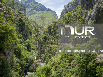 The Cares Trail (Ruta del Cares) in Asturias, Spain, on July 11, 2024, is one of the most popular trekking paths within the Picos de Europa....