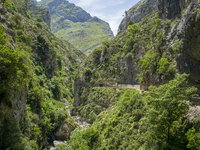 The Cares Trail (Ruta del Cares) in Asturias, Spain, on July 11, 2024, is one of the most popular trekking paths within the Picos de Europa....