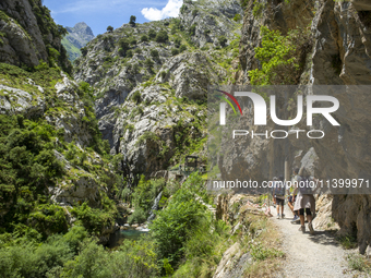 The Cares Trail (Ruta del Cares) in Asturias, Spain, on July 11, 2024, is one of the most popular trekking paths within the Picos de Europa....