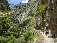 The Cares Trail (Ruta del Cares) in Asturias, Spain, on July 11, 2024, is one of the most popular trekking paths within the Picos de Europa....