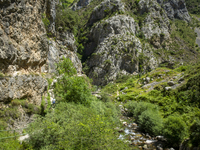 The Cares Trail (Ruta del Cares) in Asturias, Spain, on July 11, 2024, is one of the most popular trekking paths within the Picos de Europa....