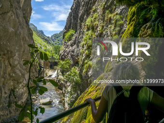 The Cares Trail (Ruta del Cares) in Asturias, Spain, on July 11, 2024, is one of the most popular trekking paths within the Picos de Europa....