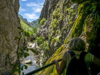 The Cares Trail (Ruta del Cares) in Asturias, Spain, on July 11, 2024, is one of the most popular trekking paths within the Picos de Europa....