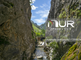 The Cares Trail (Ruta del Cares) in Asturias, Spain, on July 11, 2024, is one of the most popular trekking paths within the Picos de Europa....